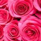Flory Love