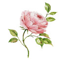 51pion.ru