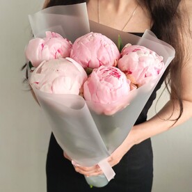5 розовых пионов