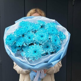 Букет голубых хризантем