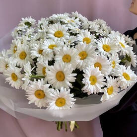 Большой букет 51 ромашка