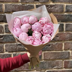 😍☺️💝💐Букет из 13 пион Сара Бернар🚀❤️🥰