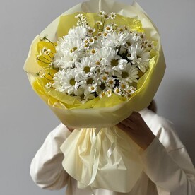 Солнечные ромашки