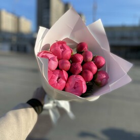 Пион Корал 13