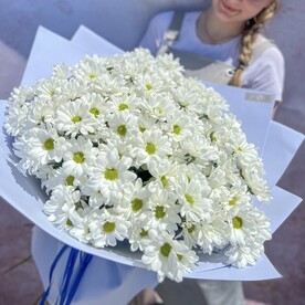 Большой букет из ромашковой хризантемы