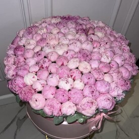 Пионы в коробке