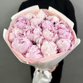 Пионы розовые Италия 15шт