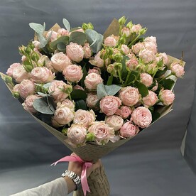 Роза мадам бомбастик, Эвкалипт, Крафт