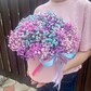 Композиция Радужной Гипсофилы