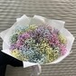 Гипсофилы Радужные 25 шт