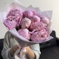 Пионы Сара Бернар 9 шт