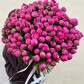 Букет из 201 пиона фуксия под ленту