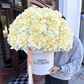 Пионовидные французские розы в шляпной коробке 51 шт, премиум букет