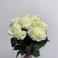 Монобукет из роз