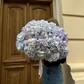 Букет из 21 сиреневой гортензии