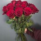 Моно букет из красных роз Эквадор  11 шт